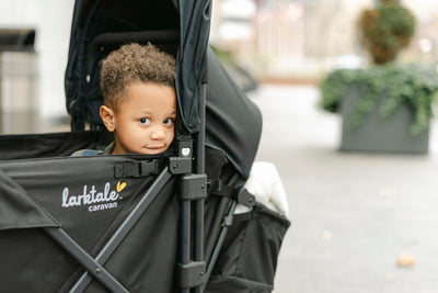 Larktale caravan V3 Stroller/Wagon