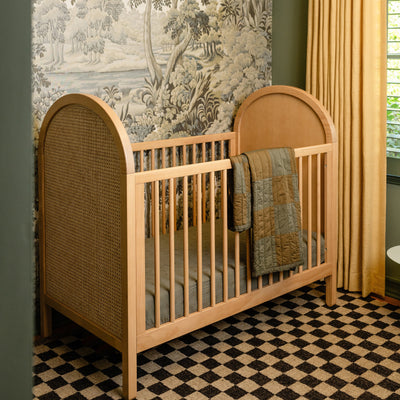 Babyletto Bondi Cane 3 in 1 Convertible Crib