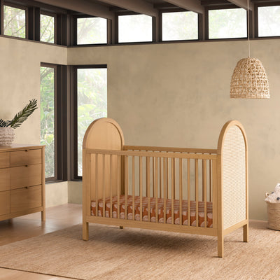 Babyletto Bondi Cane 3 in 1 Convertible Crib