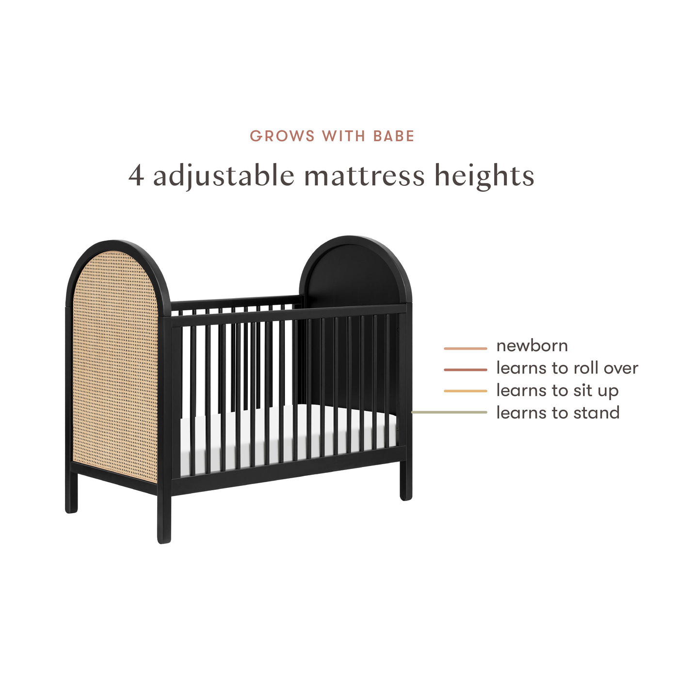 Babyletto Bondi Cane 3 in 1 Convertible Crib